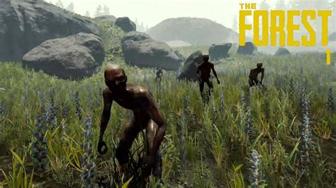 The Forest: Explore a Cannibal-Infested Wilderness and Struggle for Survival!